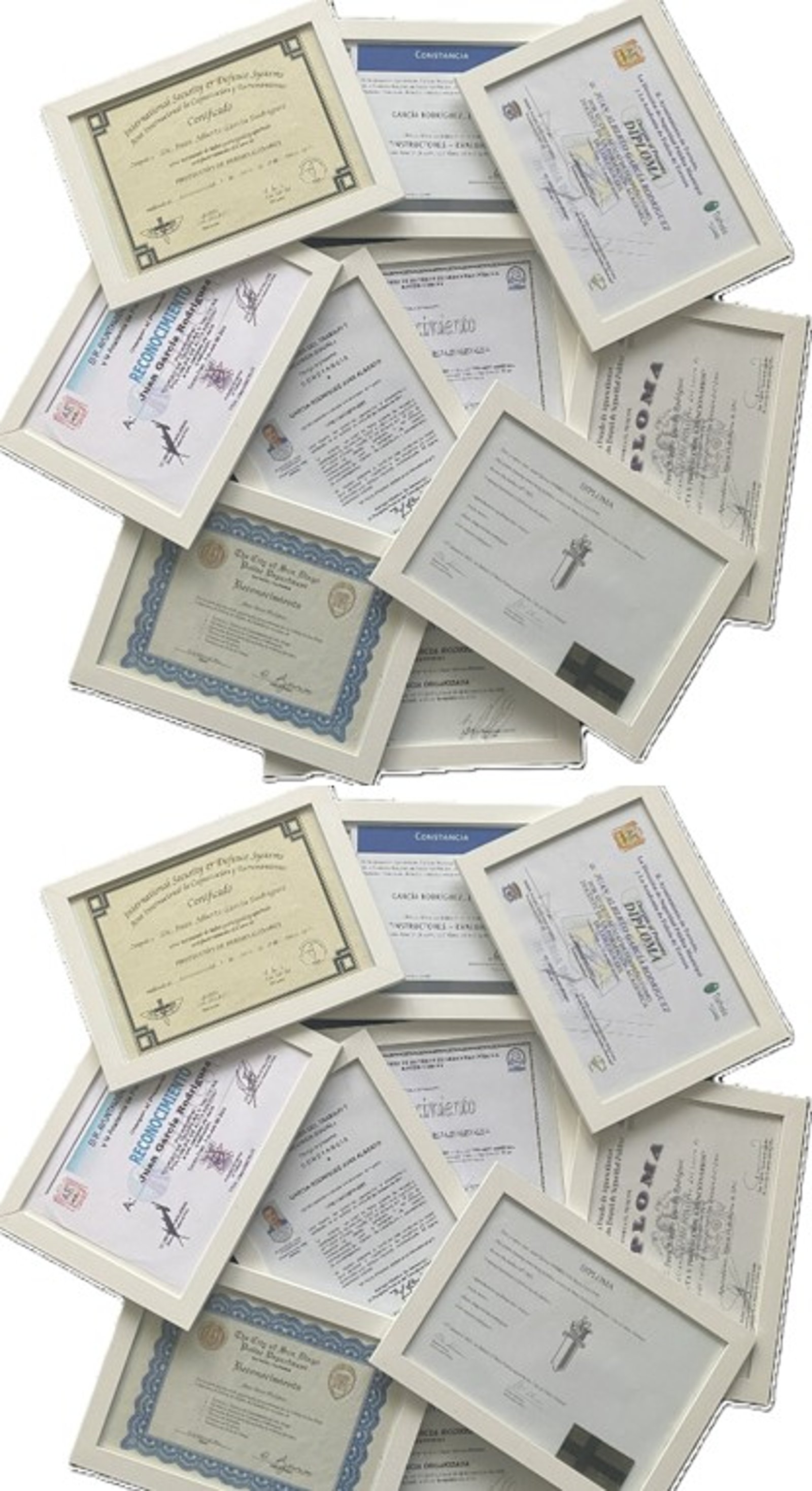 Professional certificate and training reference